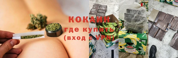гашик Алзамай