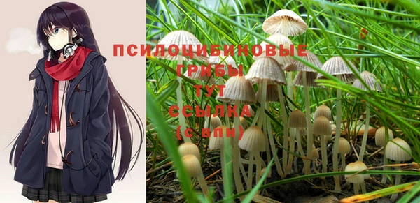 гашик Алзамай