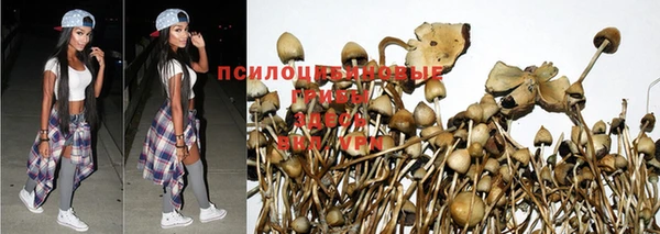 эйфоретик Алексеевка