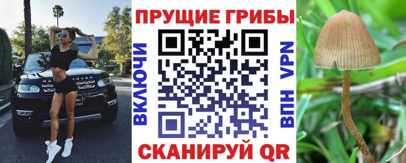 купить наркоту  Малоархангельск  мориарти состав  Галлюциногенные грибы Magic Shrooms  hydra зеркало 
